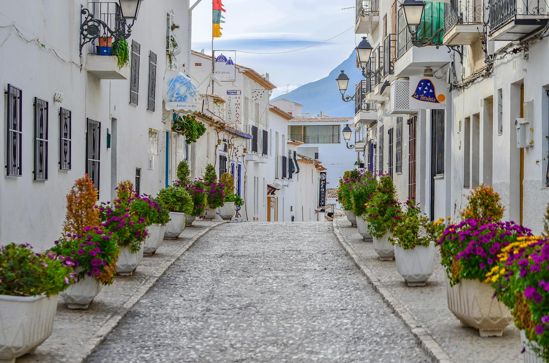 flowers around street in town